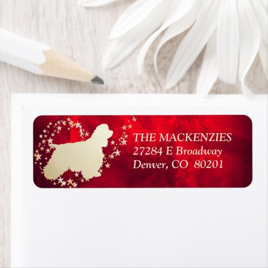 Red Gold Star Swirl American Cocker Spaniel (Insitu)