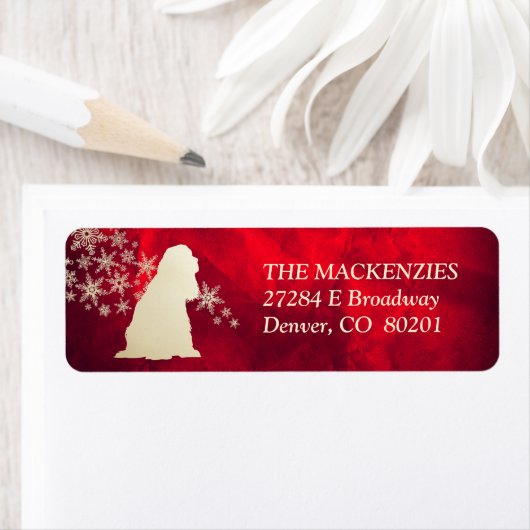 Red Gold Winter American Cocker Spaniel (Insitu)