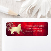 Red Gold Winter Bernese Mountain Dog (Insitu)