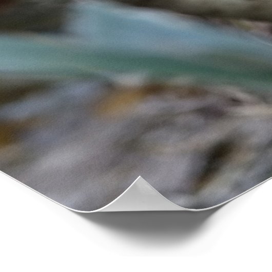 Red Golden Pheasant Poster (Ecke)