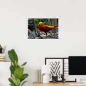 Red Golden Pheasant Poster (Heimbüro)