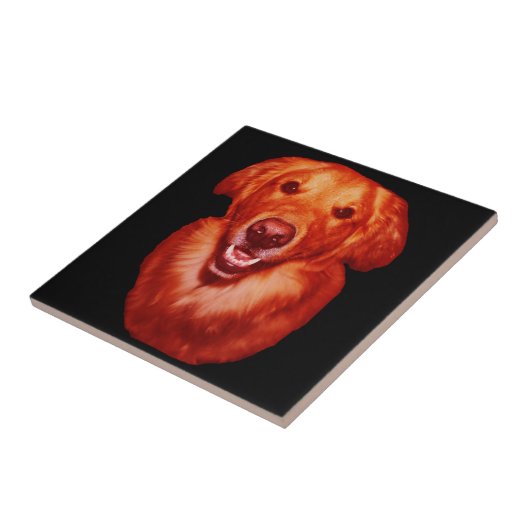 Red Golden Retriever Front Profile Fliese (Seite)