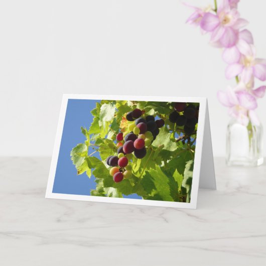 Red Grapes Green Blätter Card Karte (Orchidee)
