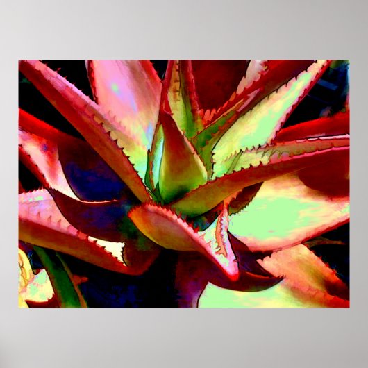 Red & Green Agave Poster (Vorne)