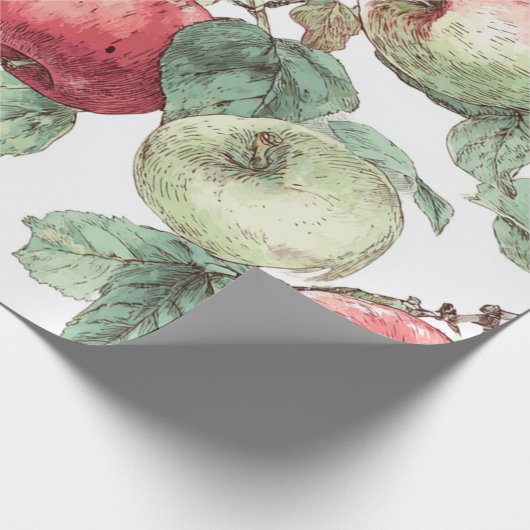 Red Green Apfel Frucht Muster Wasserfarbe Rustikal Geschenkpapier (Ecke)