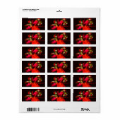Red Green Floral Modern Abstrakt Art Pattern #02 Adressaufkleber (Vorne)