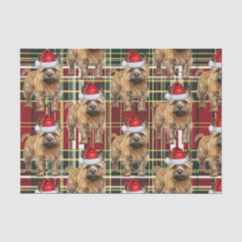 Red Green Kariert Cairn Terrier Weihnachtsfeiertag Seidenpapier