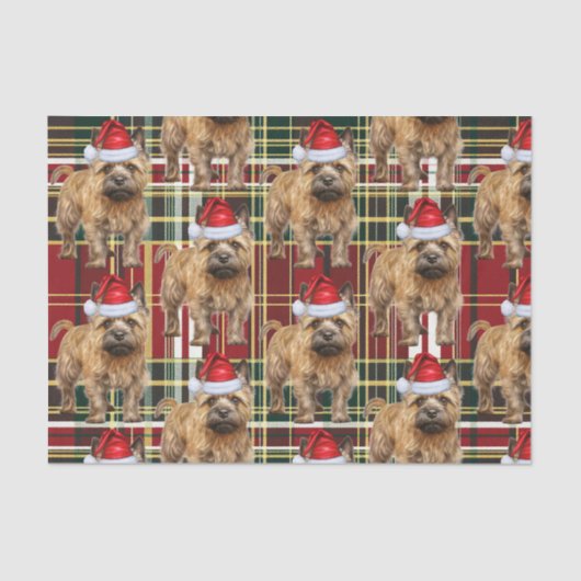 Red Green Kariert Cairn Terrier Weihnachtsfeiertag Seidenpapier (Vorderseite)