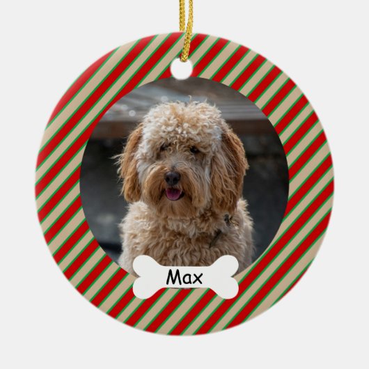 Red Green Lines Custom Pet Puppy Dodge Foto Keramik Ornament (Vorne)