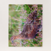 Red Grouse Jigsaw Puzzle (Vertikal)