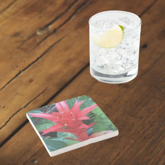 Red Guzmania Bromeliad Floral Steinuntersetzer