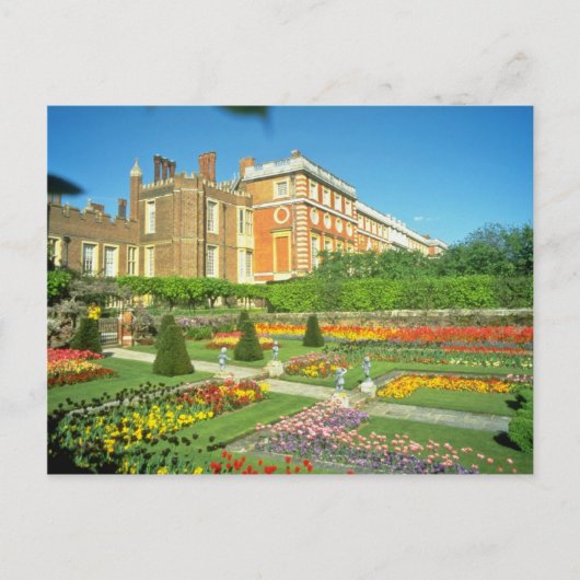 Red Hampton Court, Surrey, England Blume Postkarte (Vorderseite)