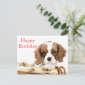 Red Happy Birthday Cavalier King Charles Spaniel Postkarte (Stehend Vorderseite)
