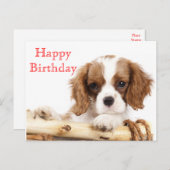 Red Happy Birthday Cavalier King Charles Spaniel Postkarte (Vorne/Hinten)