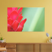 Red Hawaiian Ginger Blume Leinwanddruck (Insitu (Wohnzimmer))