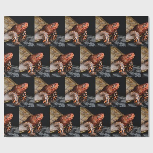 Red Head Eastern Box Turtle Geschenkpapier (Flach)