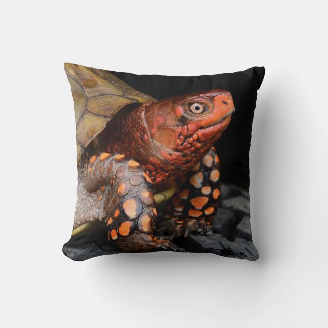 Red Head Eastern Box Turtle Kissen (Vorderseite)
