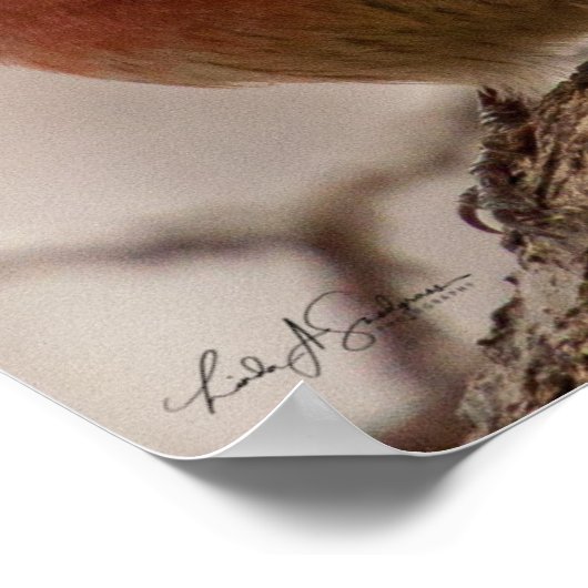 Red Headed House Finish Poster (Ecke)