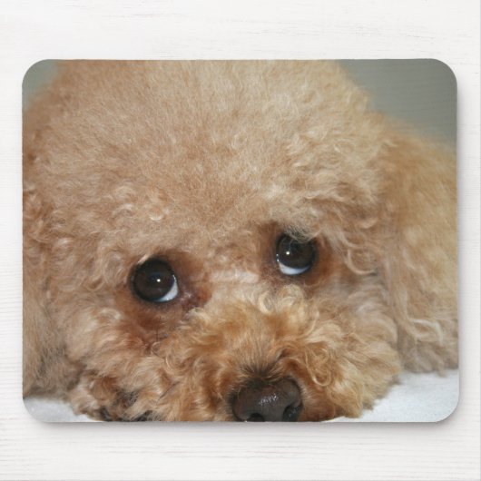 Red Headed Poodle Mouse Pad Mousepad (Vorne)