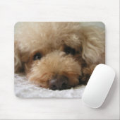 Red Headed Poodle Mousepad (Mit Mouse)