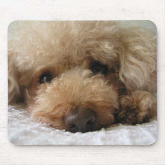 Red Headed Poodle Mousepad (Vorne)