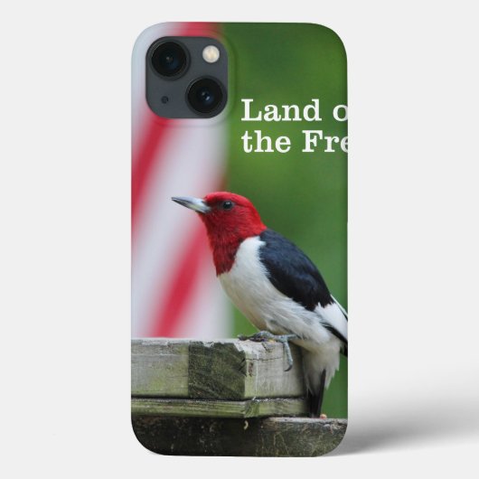 Red-headed Woodpecker Case-Mate iPhone Hülle (Rückseite)