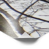 Red Headed Woodpecker Fotodruck (Ecke)