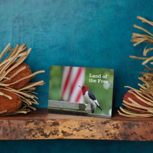 Red-headed Woodpecker Fotoplatte (Seite)