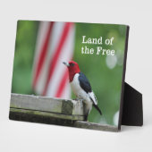 Red-headed Woodpecker Fotoplatte (Seite)