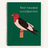 Red-headed woodpecker notizblock (Vorderseite)
