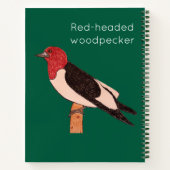 Red-headed woodpecker notizblock (Rückseite)