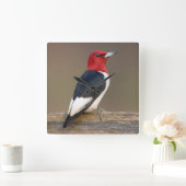 Red-headed Woodpecker on fence Quadratische Wanduhr (Zuhause)