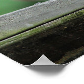 Red-headed Woodpecker Poster (Ecke)