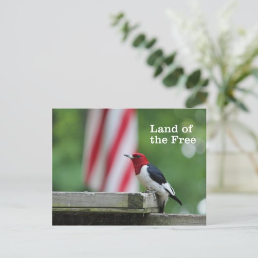 Red-headed Woodpecker Postkarte (Stehend Vorderseite)