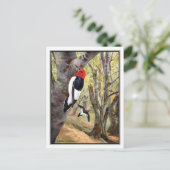 Red-Headed Woodpecker - Robert Bruce Horsfall Postkarte (Stehend Vorderseite)