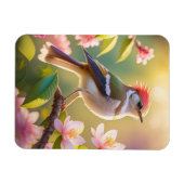 Red Header Buff Chested Warbler Fantasy Bird Magnet (Horizontal)
