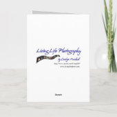 Red Hearts Liebe Card Karte (Rückseite)