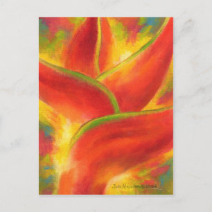 Red Heliconia Blume - Multimedia Postkarte