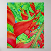 Red Heliconia Poster (Vorne)