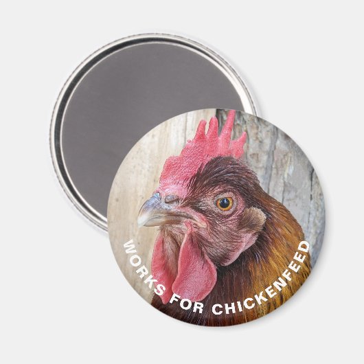 Red Hen Works for Chickenfeed Funny Magnet (Vorderseite/Rückseite)