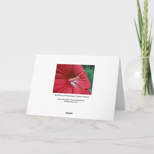 Red Hibiscus With Raindrops Karte (Rückseite)