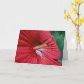 Red Hibiscus With Raindrops Karte (Gelbe Blume)