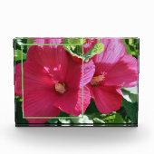 Red Hibisken Blume Eigene hinzufügen Fotoblock (Vorderseite)