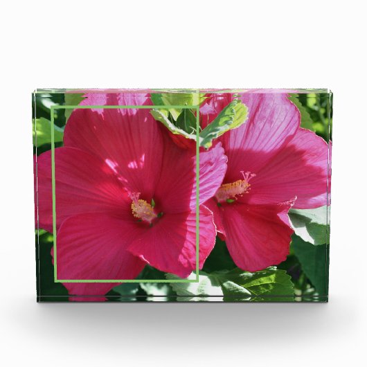 Red Hibisken Blume Eigene hinzufügen Fotoblock (Vorderseite)