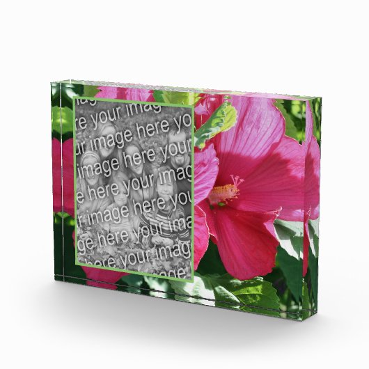 Red Hibisken Blume Eigene hinzufügen Fotoblock (Rechts)