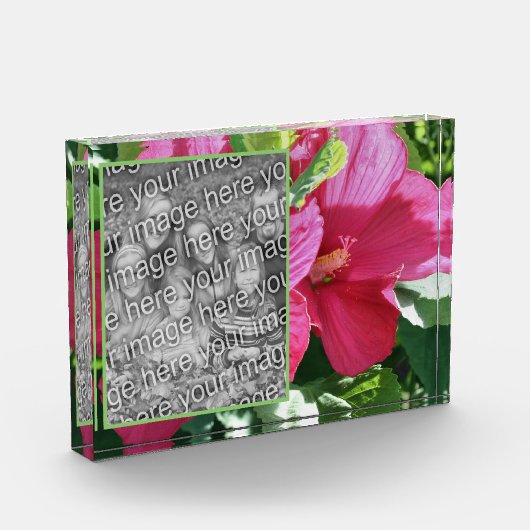 Red Hibisken Blume Eigene hinzufügen Fotoblock (Links)