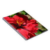 Red Hibisken Notebook Notizblock (Rechte Seite)