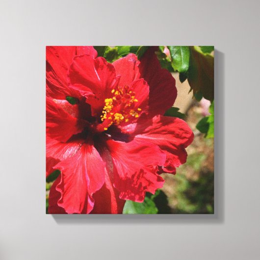 Red Hibisken Wrapped Canvas Leinwanddruck (Vorderseite)