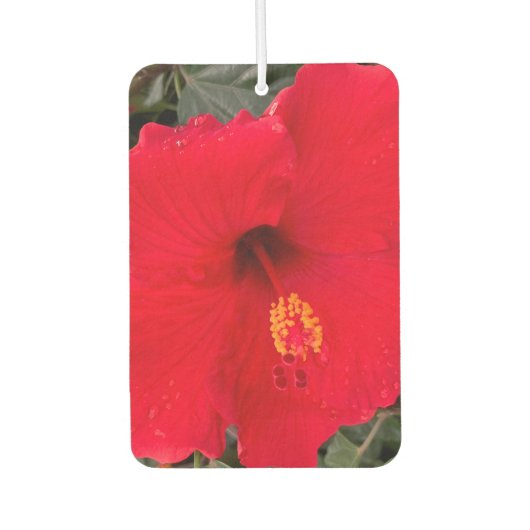Red Hibiskus Air Frehener Autolufterfrischer (Vorderseite)
