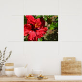 Red Hibiskus Canvas Print Poster (Küche)